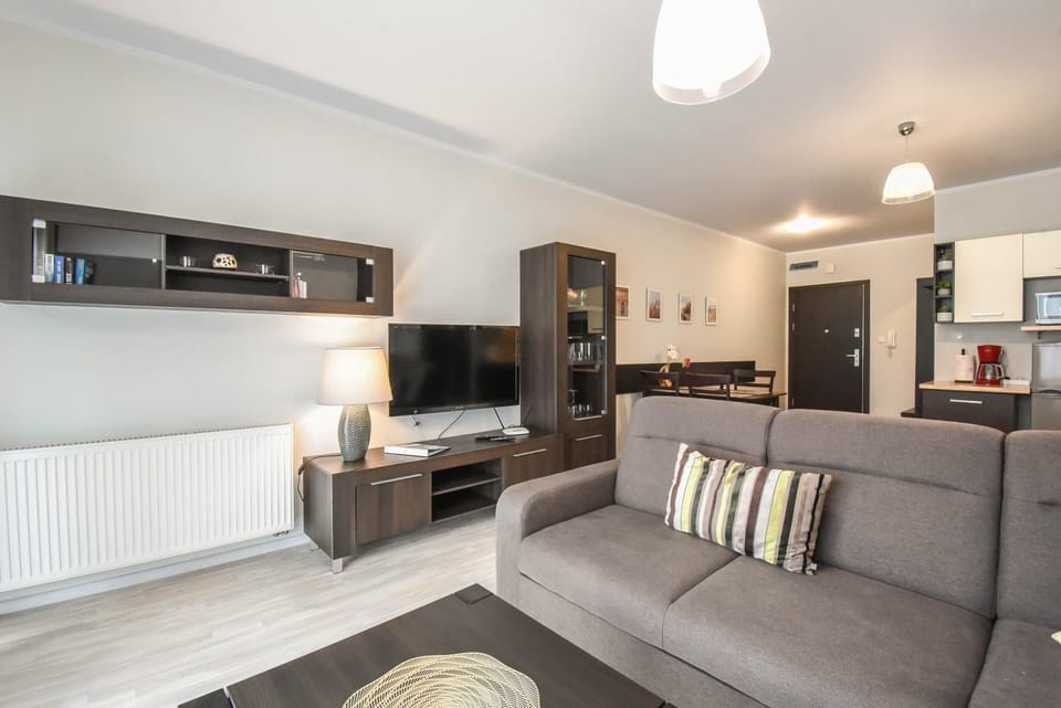 TV and multimedia, Kitchen or kitchenette, Living room, Seating area