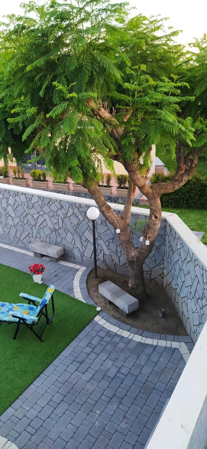 Garden view