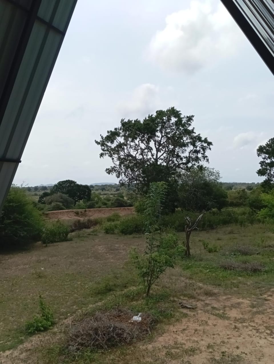 Day, Natural landscape