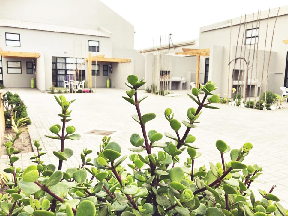 Property building, BBQ facilities
