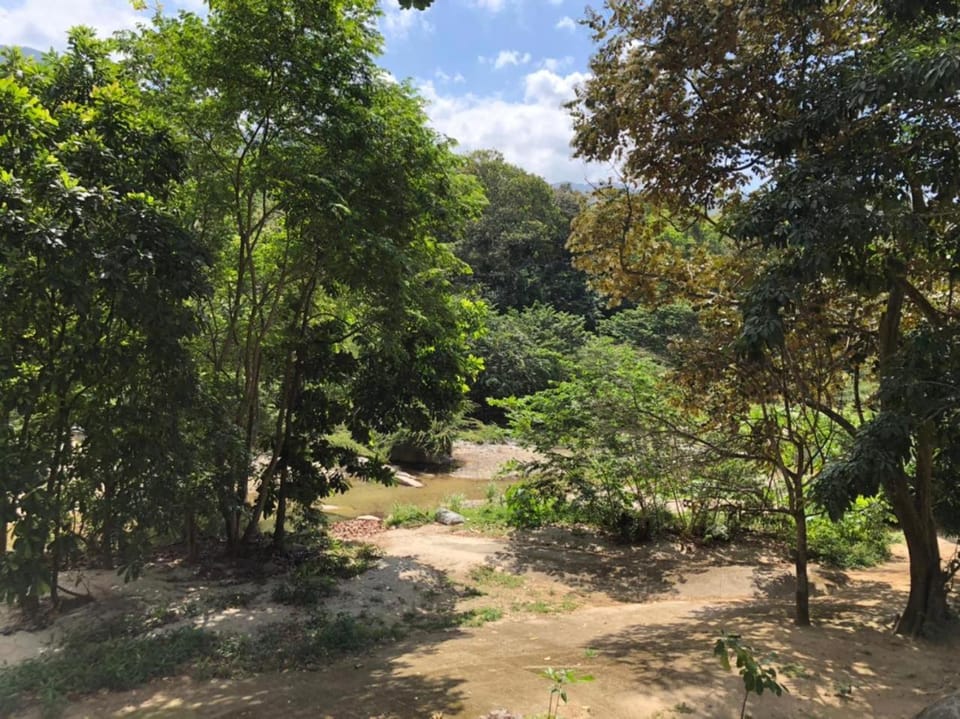 Natural landscape