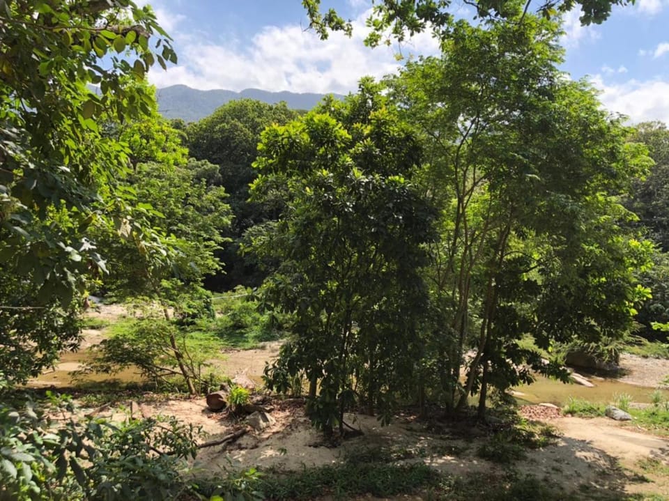Natural landscape