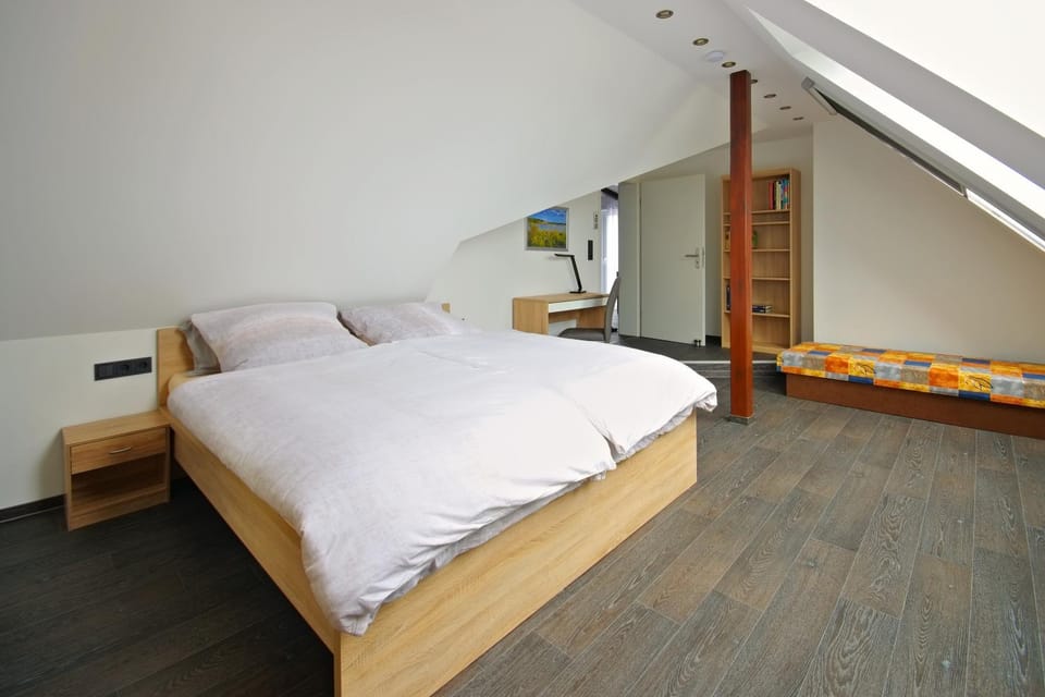 Ferienwohnung Lausitzer Seenland Tom Apartment in Saxony