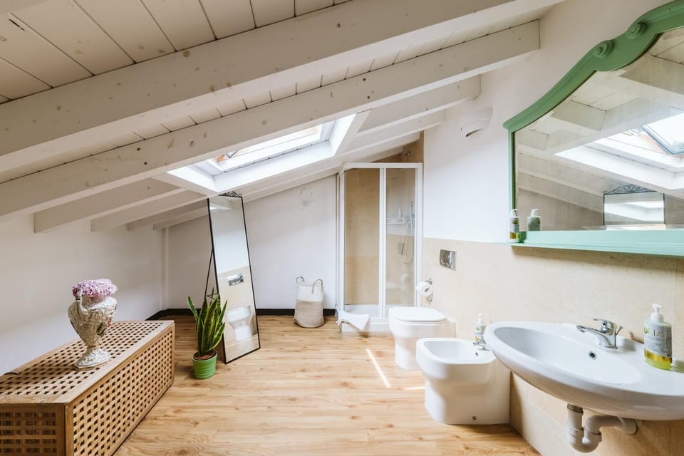Shower, Toilet, Bathroom, bidet