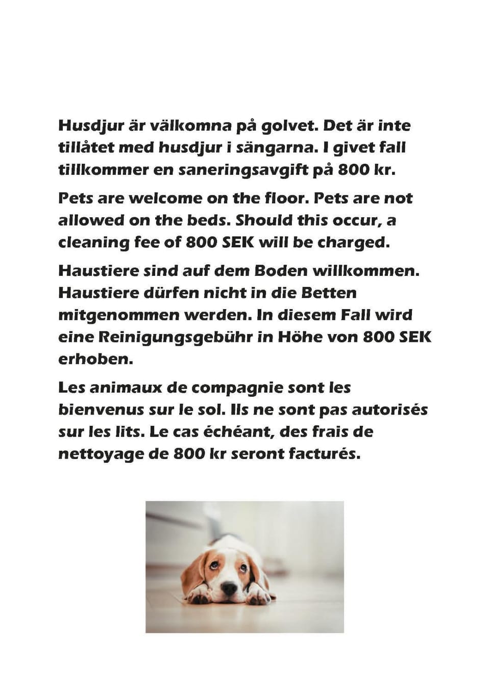 Pets