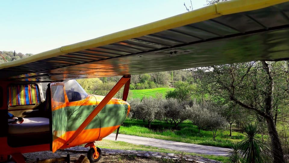 Bed, View (from property/room), Garden view