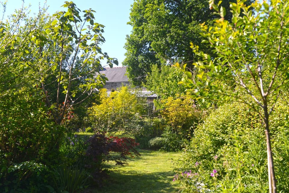 Natural landscape, Garden, Garden view