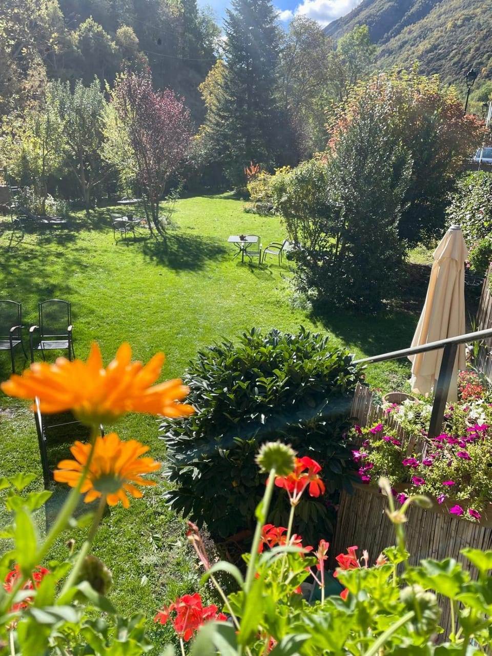 Garden