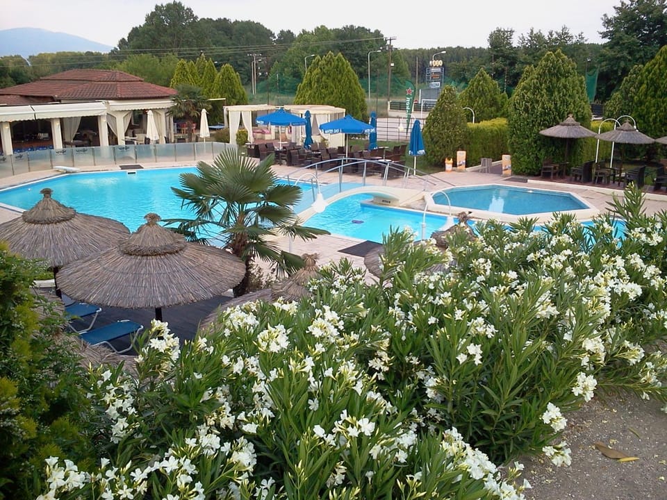 Swimming pool
