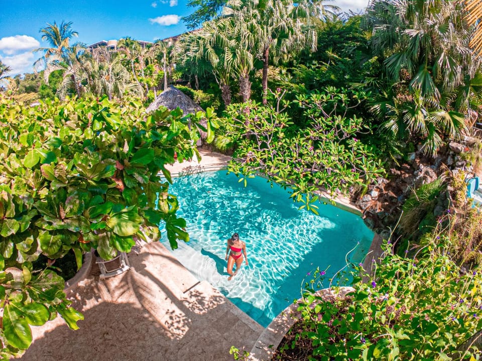 Swimming pool, Swimming pool