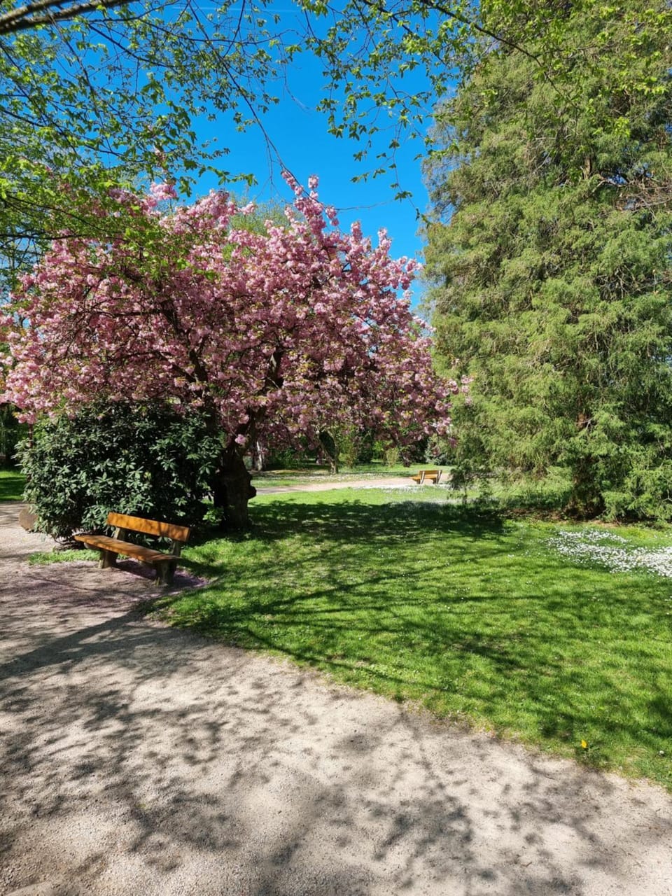Natural landscape