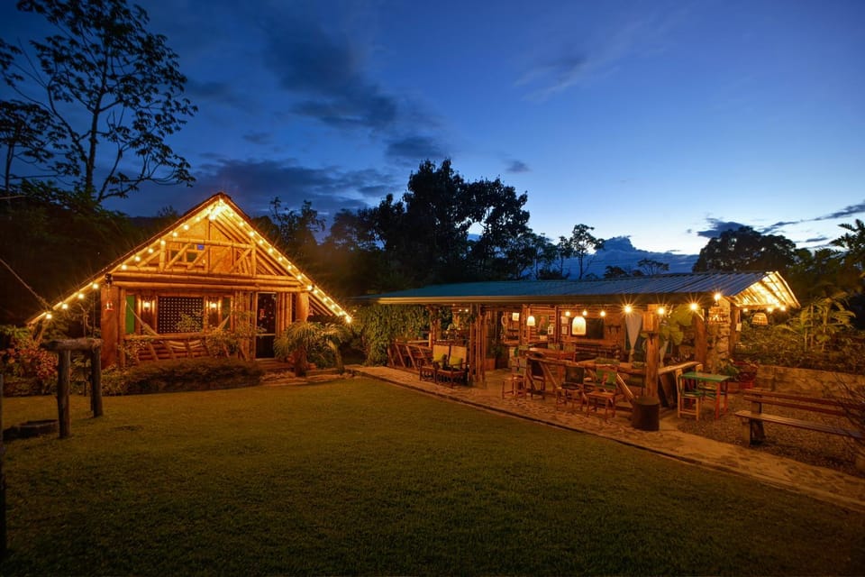 Night, Garden view