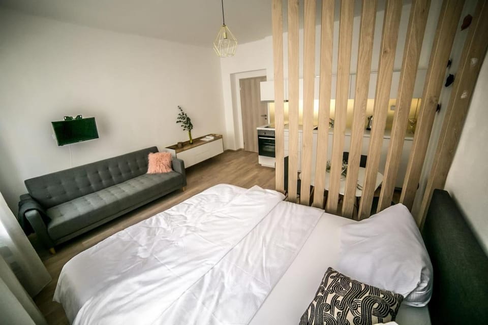 Prague friendly apartments in Prague Apartment in Prague