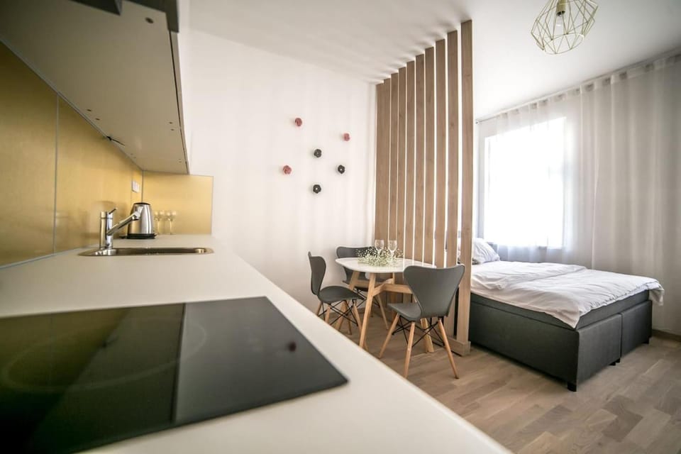 Prague friendly apartments in Prague Apartment in Prague