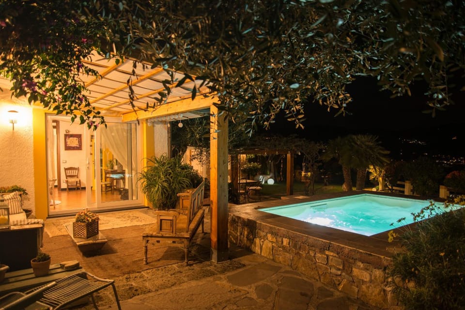 Patio, Night, Natural landscape, Garden, Garden view, Pool view, Swimming pool, sunbed