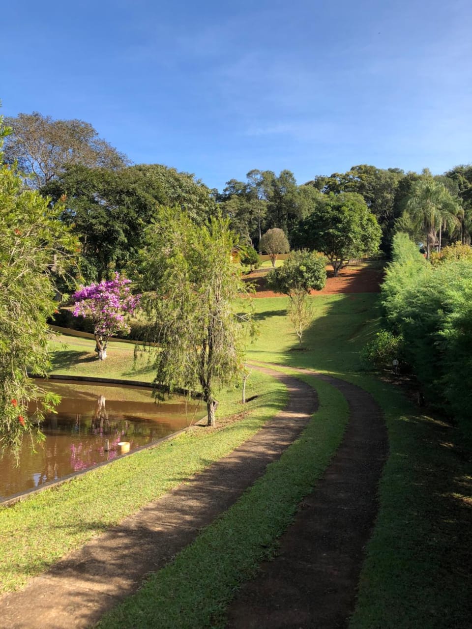 Natural landscape, Garden view, Lake view