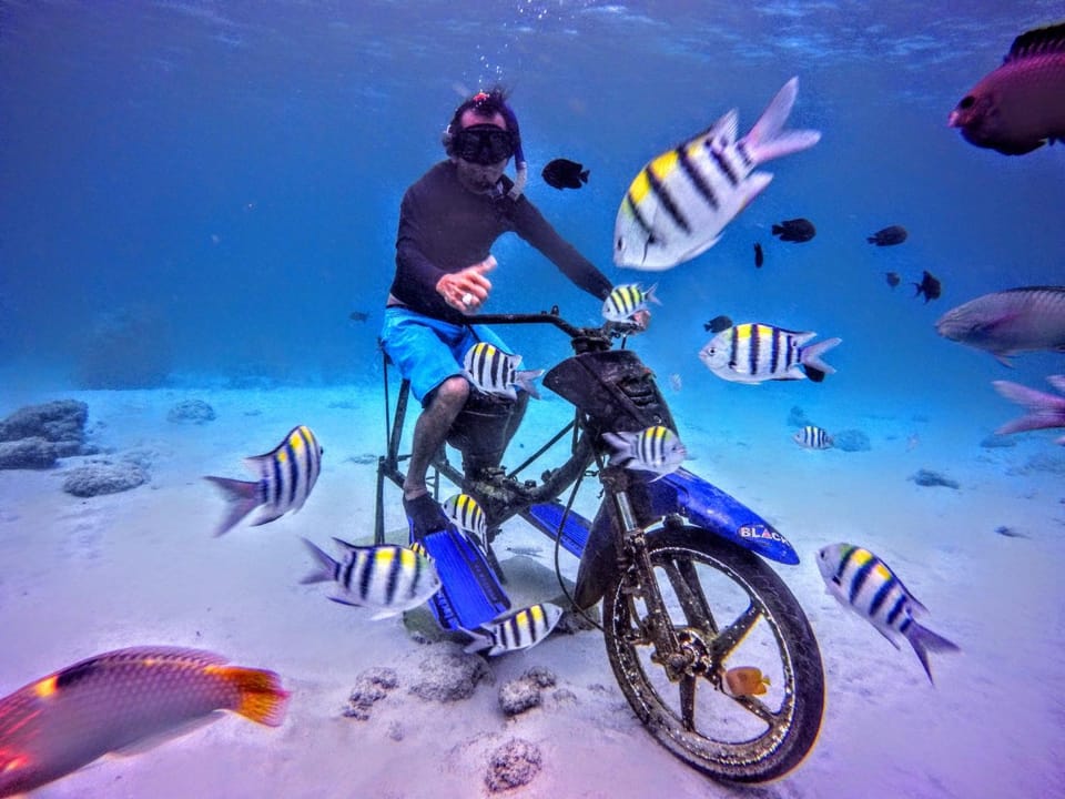 Snorkeling, Diving