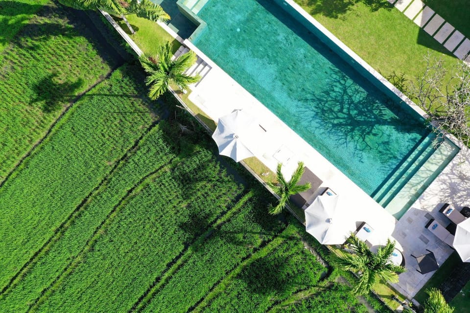 Villa Manis Canggu Villa in North Kuta