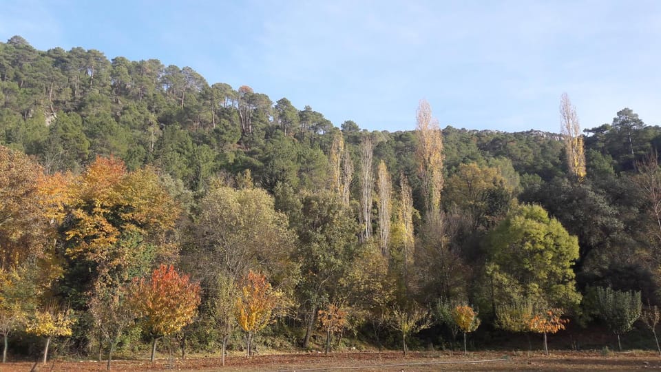 Alojamientos Rurales Navahondona Apartment in Sierra de Cazorla Comarca
