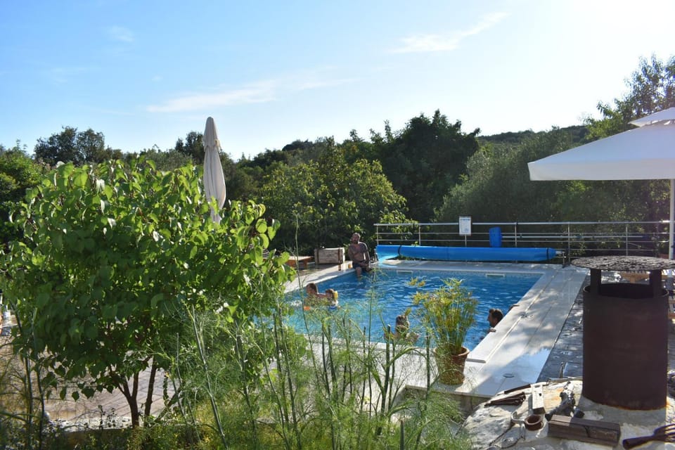 Garden, Swimming pool, Family