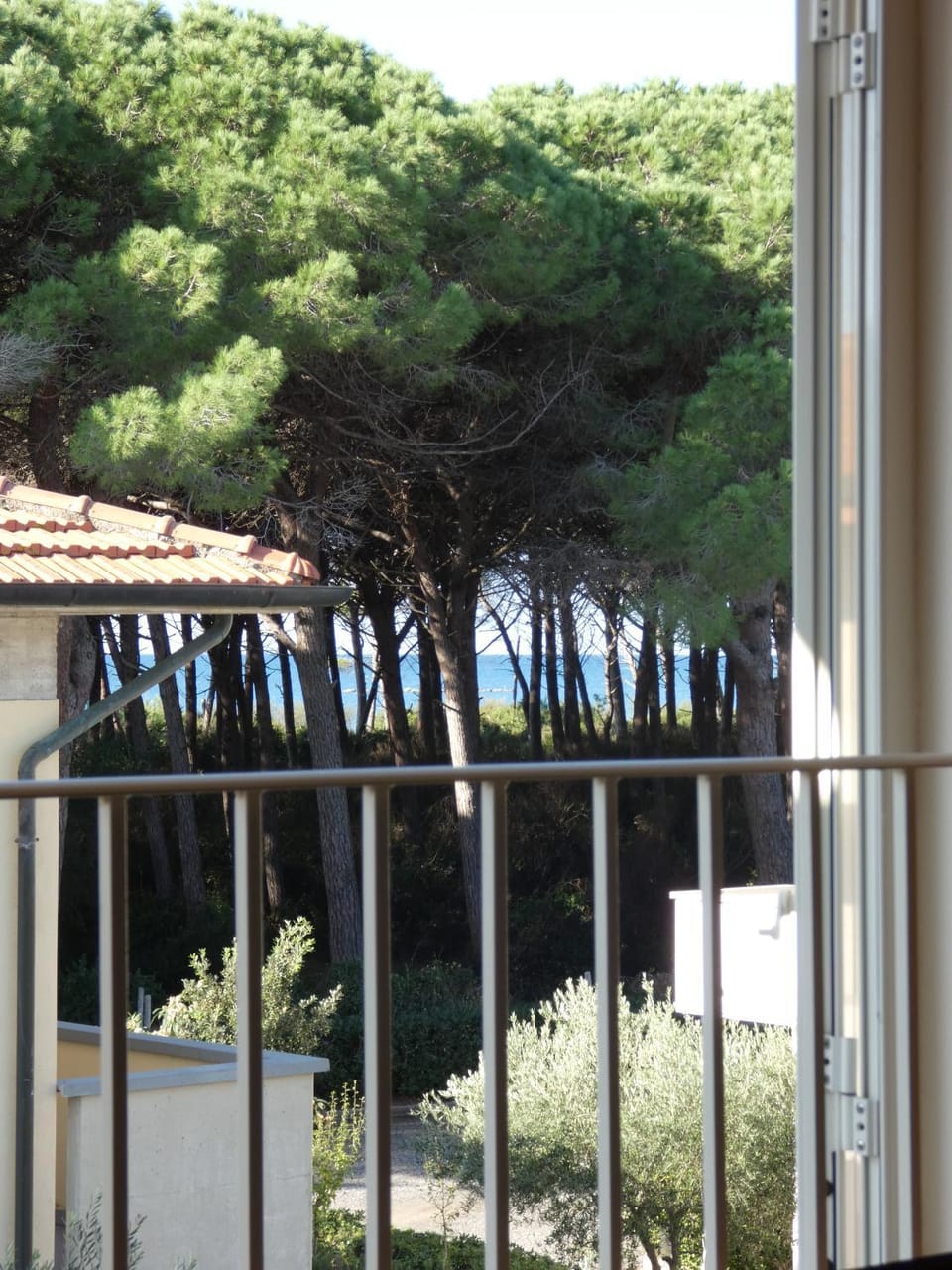 Sea view