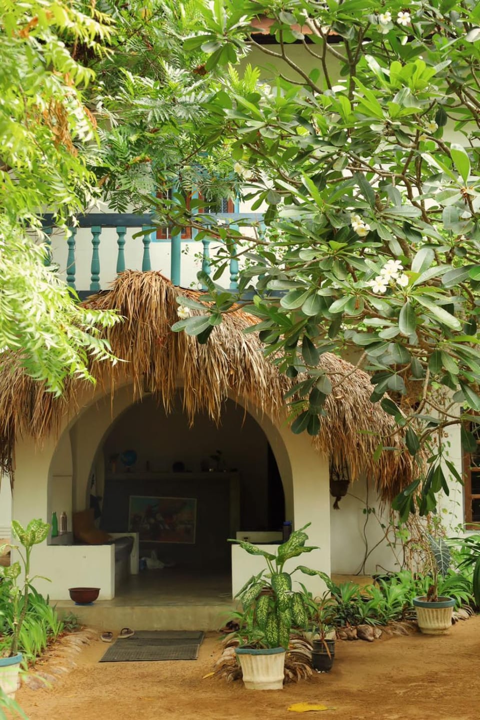 Property building, Facade/entrance, Garden