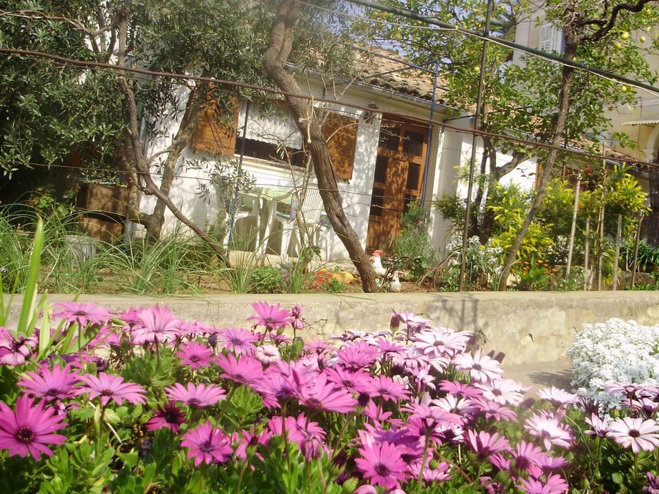 Apartman KRISTINA and FREE PARKING Apartment in Mali Losinj