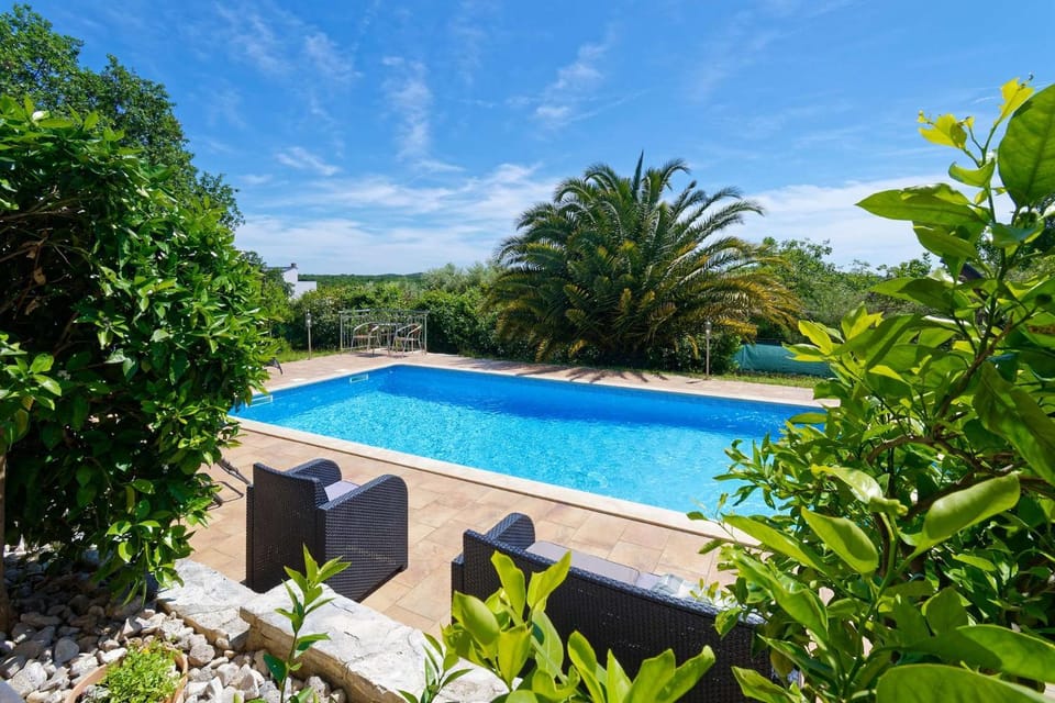 Pool view, Swimming pool