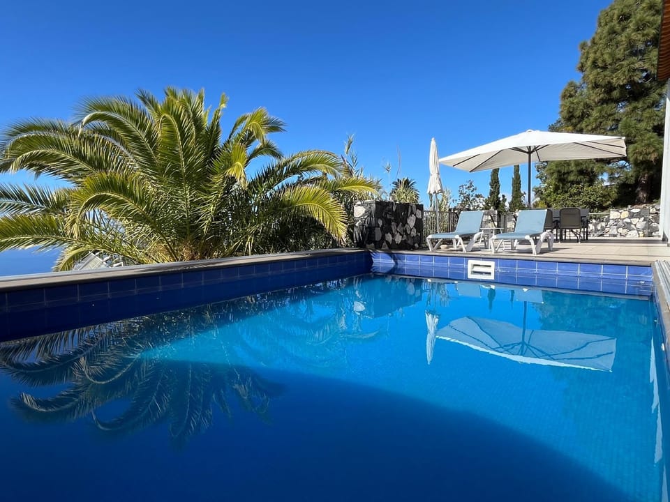 Summer, Garden, Pool view, Sea view, Swimming pool, sunbed