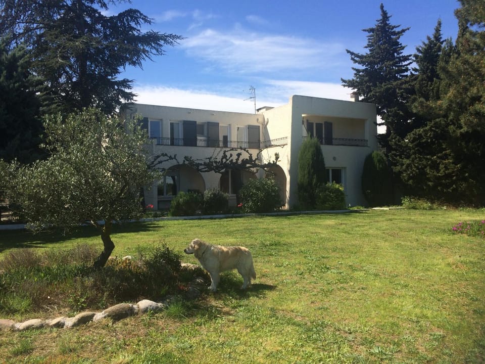 Property building, Garden, Pets