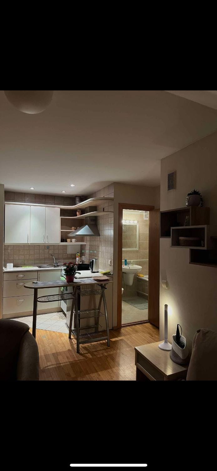 Velux Apartment in Vilnius