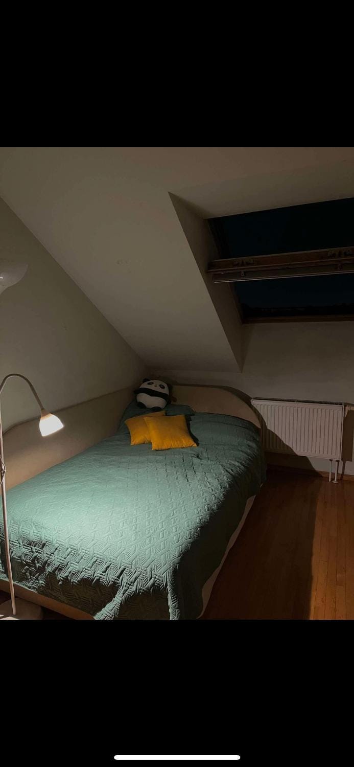 Velux Apartment in Vilnius