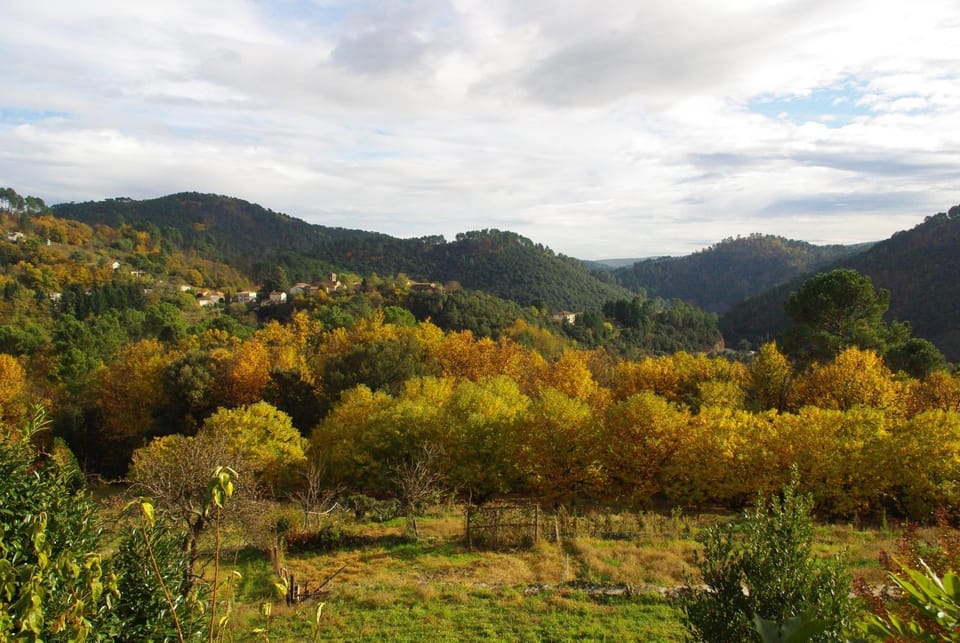 Mountain view