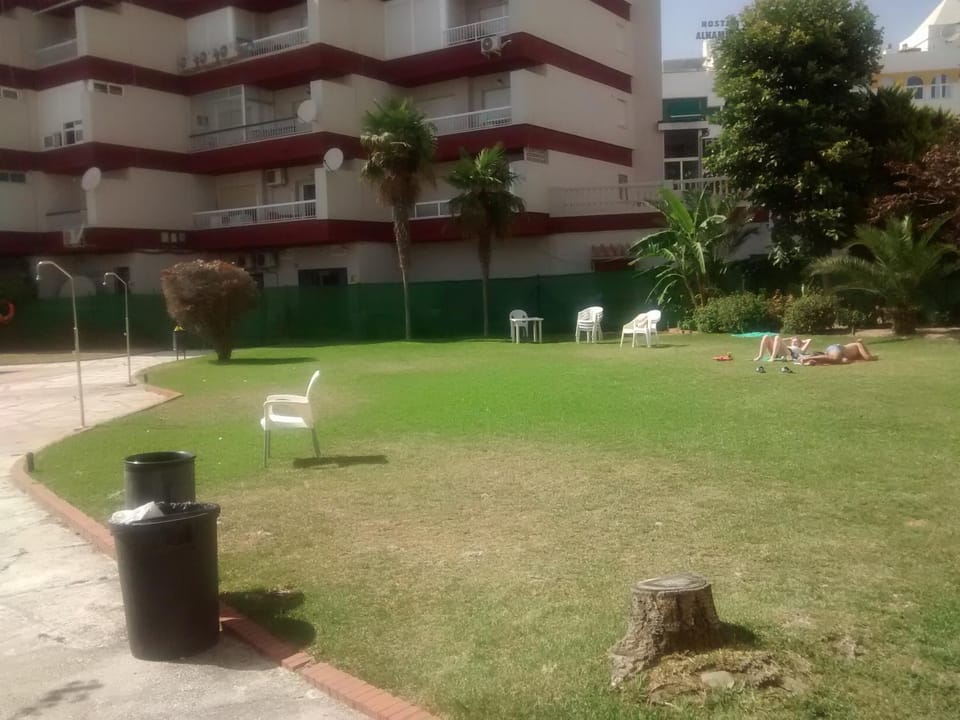 Garden, Swimming pool, Swimming pool