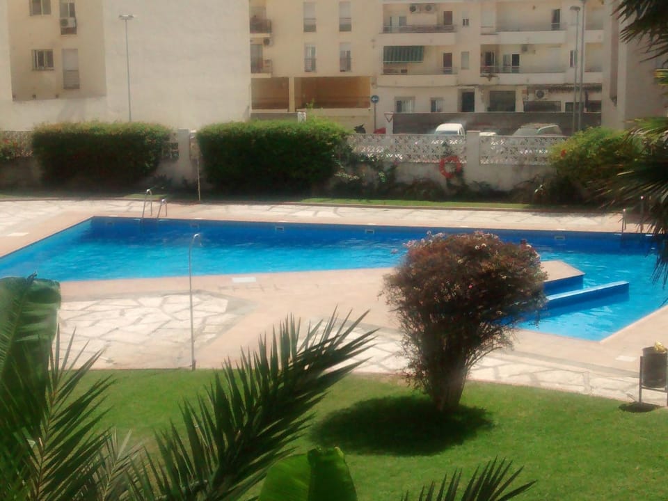 Garden, Swimming pool