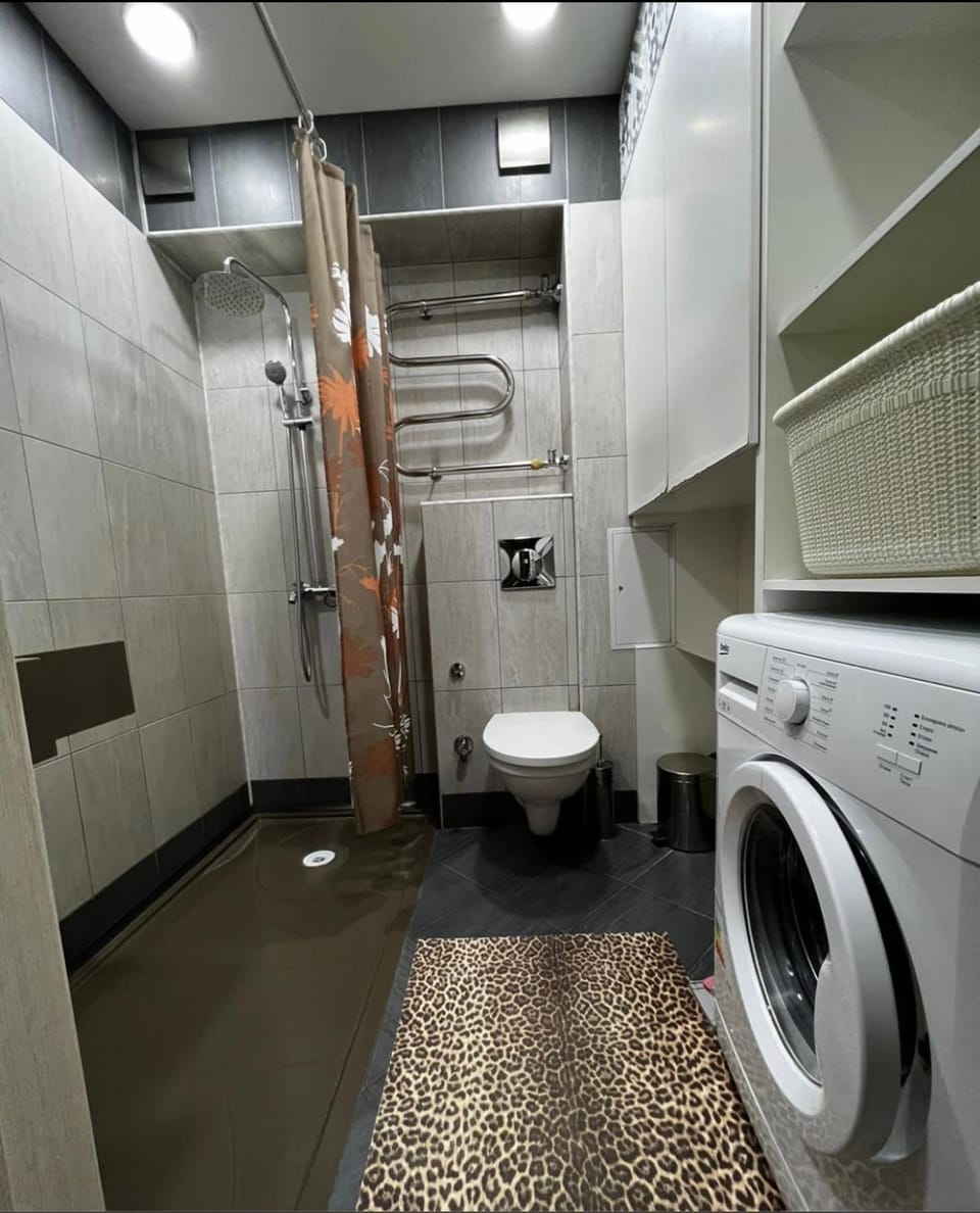 Toilet, Bathroom, washing machine
