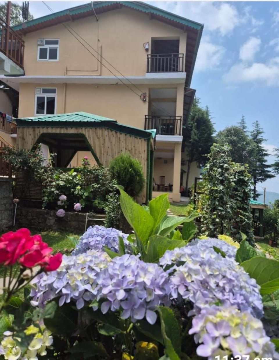 Garden view