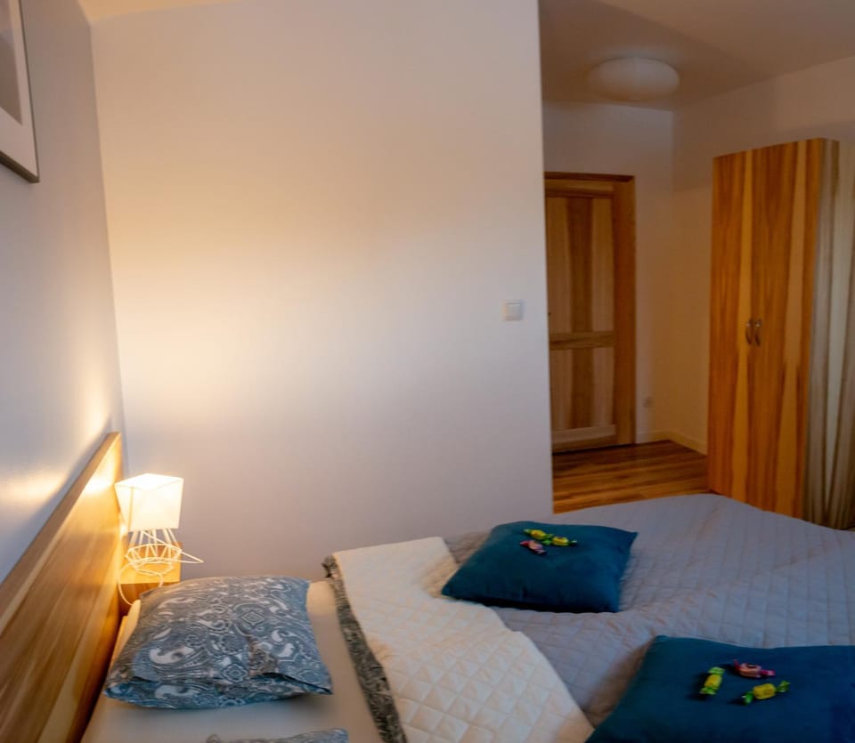 Apartament Przy Deptaku Apartment in Czechia