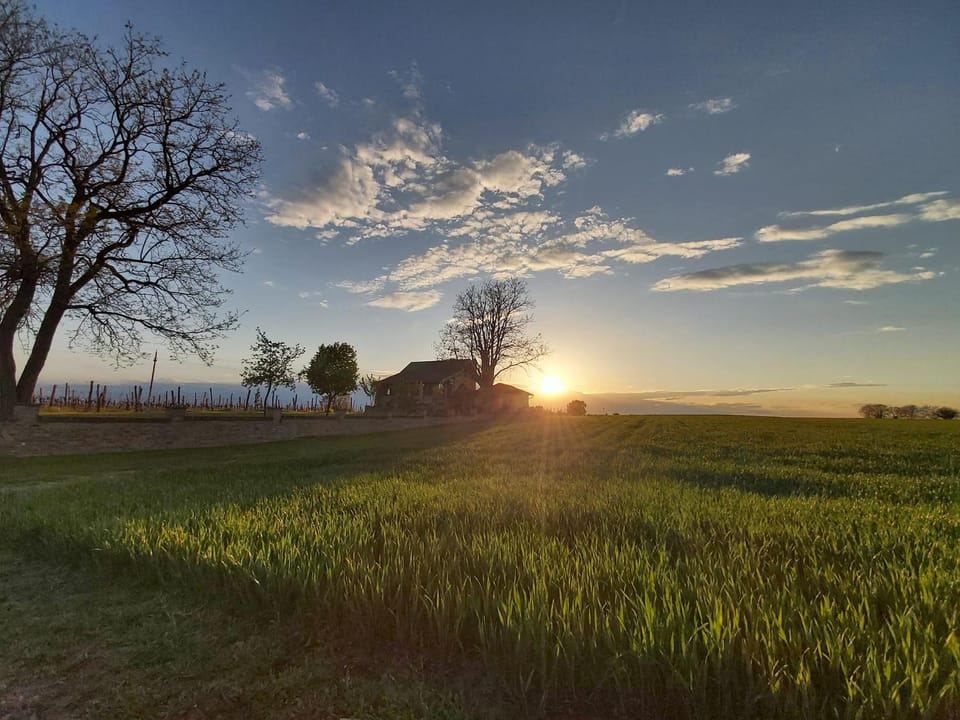 Property building, Sunrise