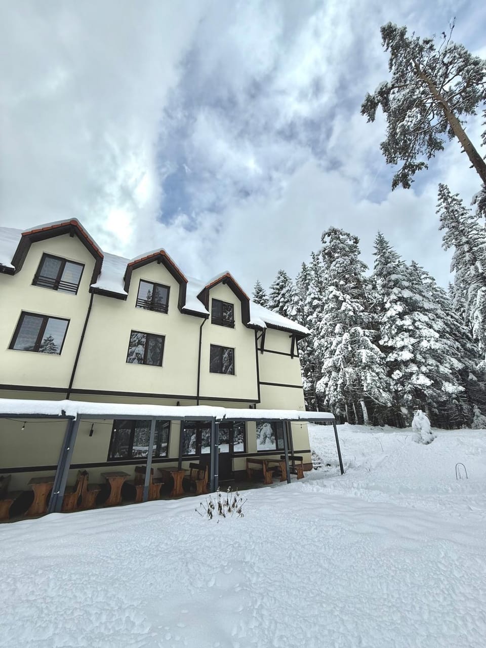 Berghof Eva - Hotel Hotel in North Macedonia
