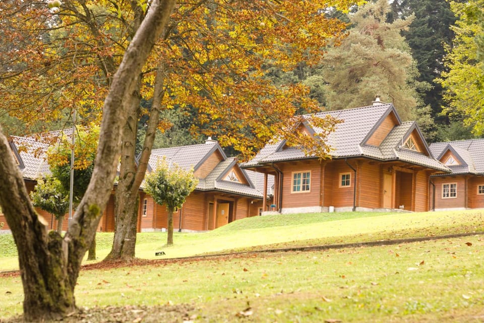 Property building, Day, Natural landscape, Garden, View (from property/room), Autumn, Garden view