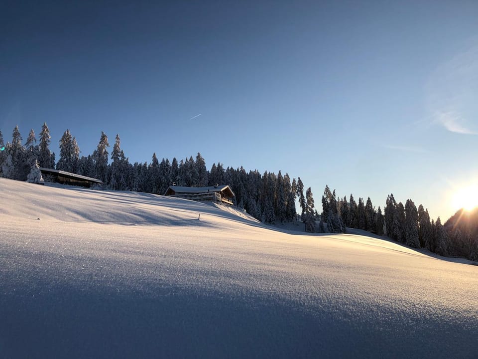 Alpinus Agriturism Apartment in Trentino-South Tyrol