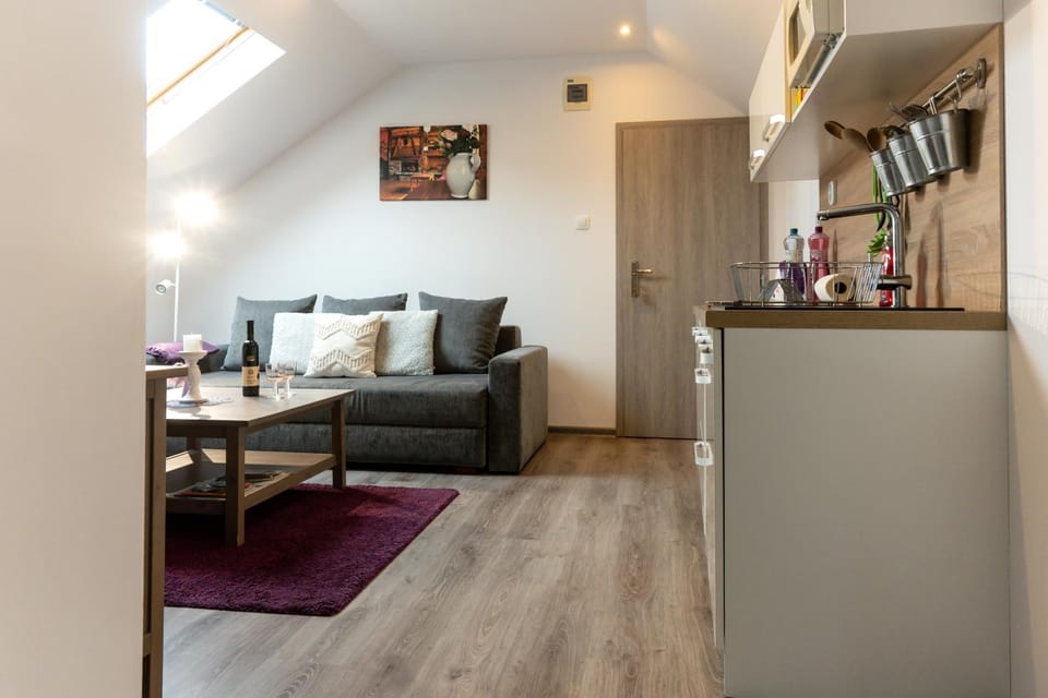 Living room, kitchen