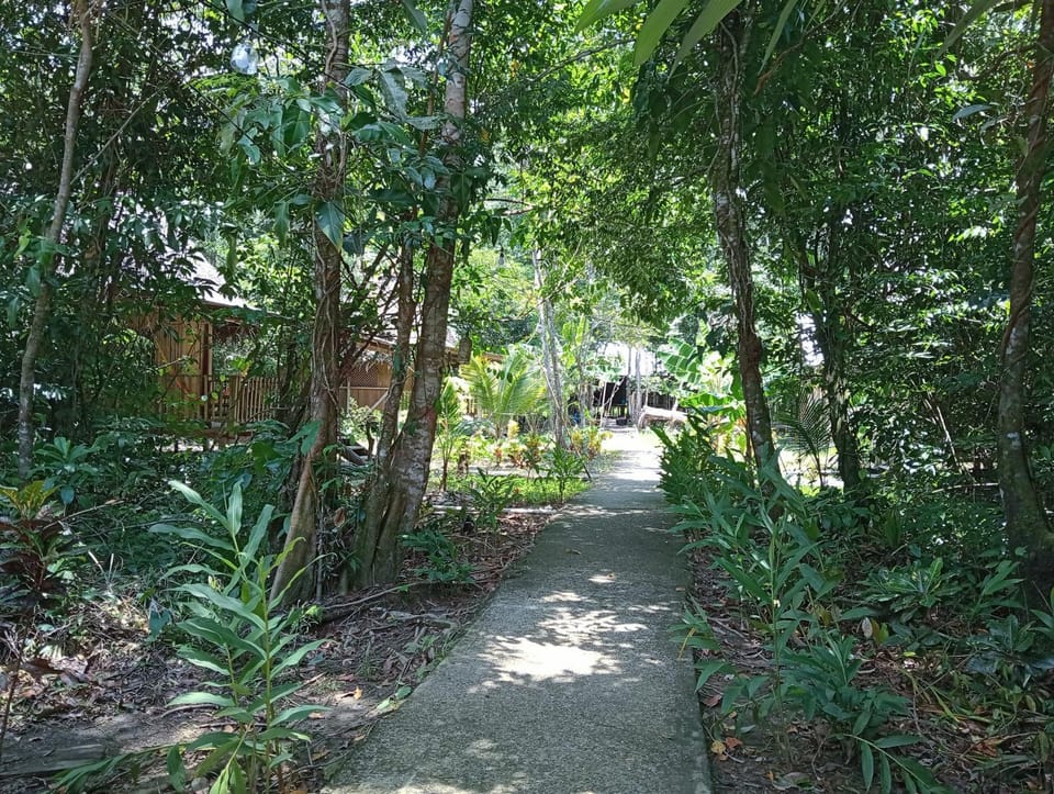Garden view