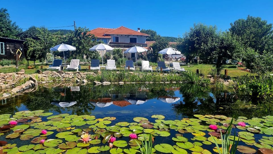 Property building, Swimming pool
