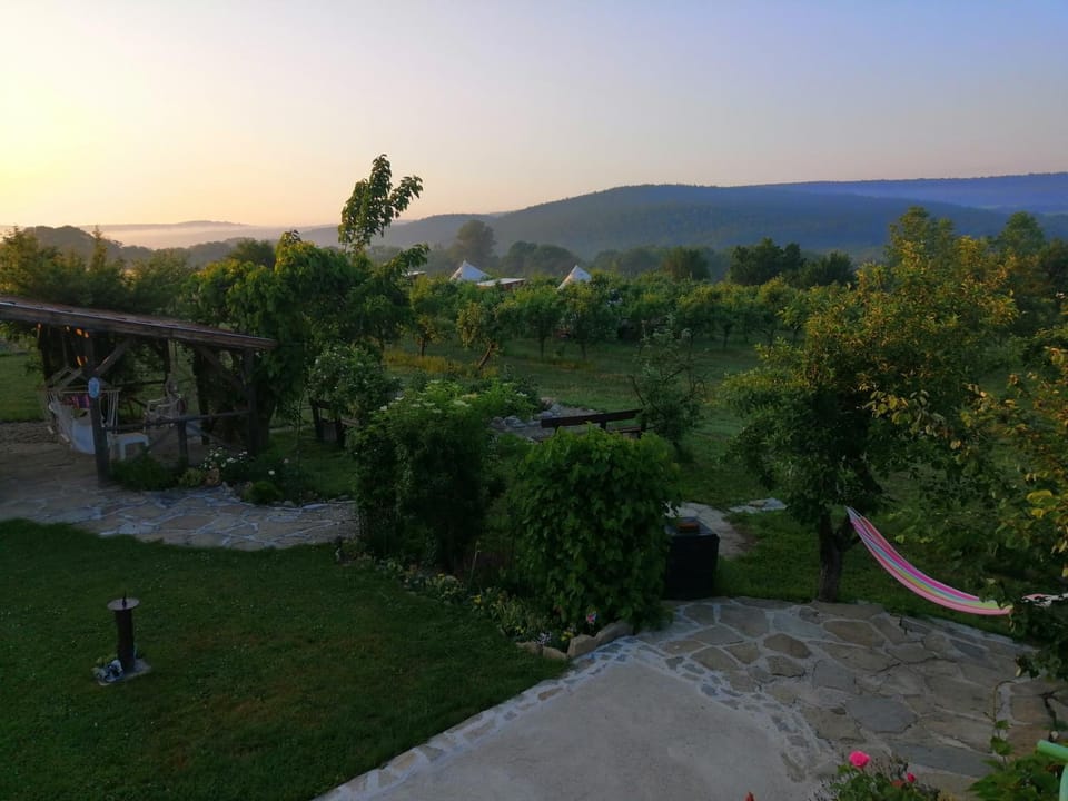 Garden, Sunrise