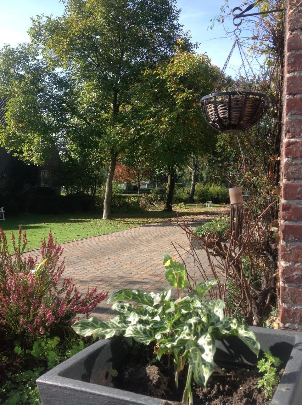 Garden view