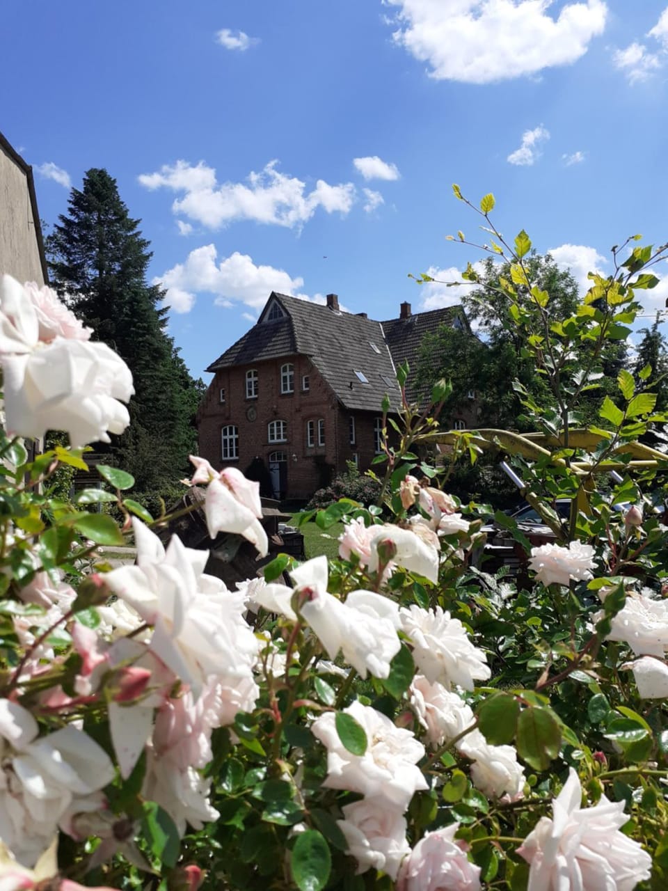 Ferienwohnung ehemalige Revierförsterei "Morgensünn" Apartment in Mecklenburg-Vorpommern, Germany