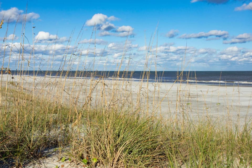 Surf Perch - 10th St. House in Saint Augustine Beach