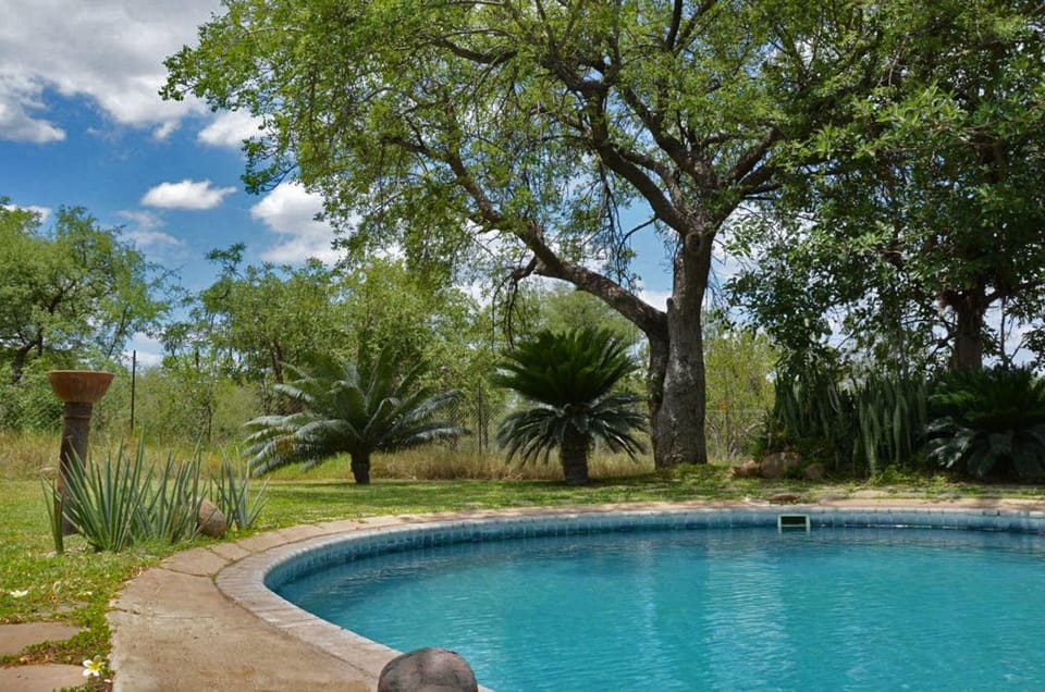 Swimming pool, Swimming pool